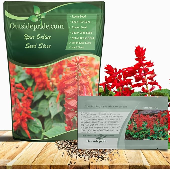 Outsidepride Salvia Coccinea Scarlet Sage Seeds for Planting - 5000 Pcs Perennial, Heat-Tolerant Wildflower Seeds w/Red Blooms, Attracts Hummingbirds & Butterflies for Pollinator-Friendly Gardens