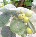 Garden Netting Plants Cover Bird Netting Fruits Tree Vegetable Mesh Netting Greenhouse Row Nets Raised Bed Netting (10 x 30FT)