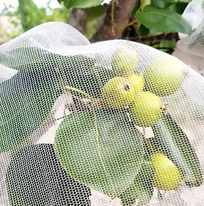 Garden Netting Plants Cover Bird Netting Fruits Tree Vegetable Mesh Netting Greenhouse Row Nets Raised Bed Netting (10 x 30FT)