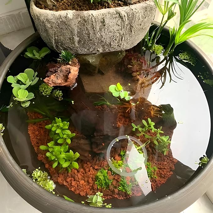 Mulctun 45Lb Horticultural Lava Rock - Succulent Soil Amendment, Decorative Cactus Soil Potting Mix, Volcanic Rock for Aquarium, Fairy Gardening Top Dressing Plant Drainage