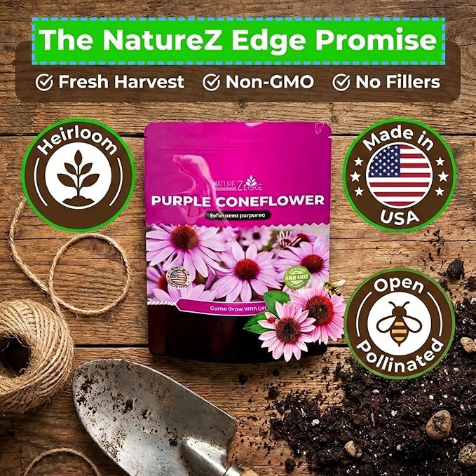 Echinacea Seeds, Purple Coneflower Seeds, Over 2300 Echinacea Seeds for Planting, Non-GMO, Open Pollinated, Heirloom Flower Seeds