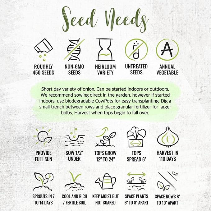 Seed Needs Onion Seeds for Planting Red Burgundy Short Day Onions - Non-GMO Heirloom & Untreated Vegetable Seeds to Plant an Outdoor Home Grown Veggie Garden