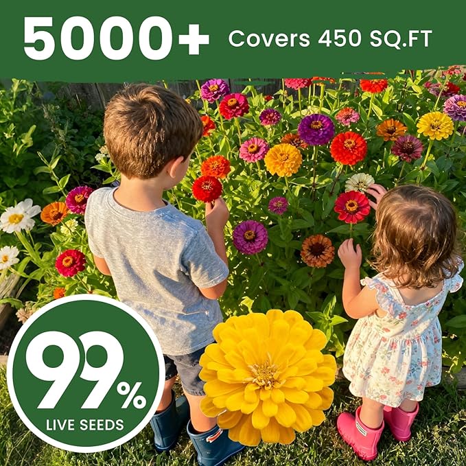 5000+ Zinnia Dahlia Seeds Flower Seeds for 2026 Planting, 1.5 Oz, 5 Varieties (Pink, Yellow, Orange, White, Purple), 40G Mixed Colors and Large Blooms, Open Pollinated - Bulk