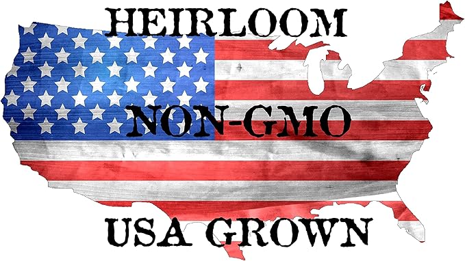 1000+ Tom Thumb Heirloom Lettuce Seeds - Non-GMO USA Grown - Miniature 5" Heads Butterhead Bibb Type Lettuce - Grows Indoors or Outdoors with Soil or Hydroponics