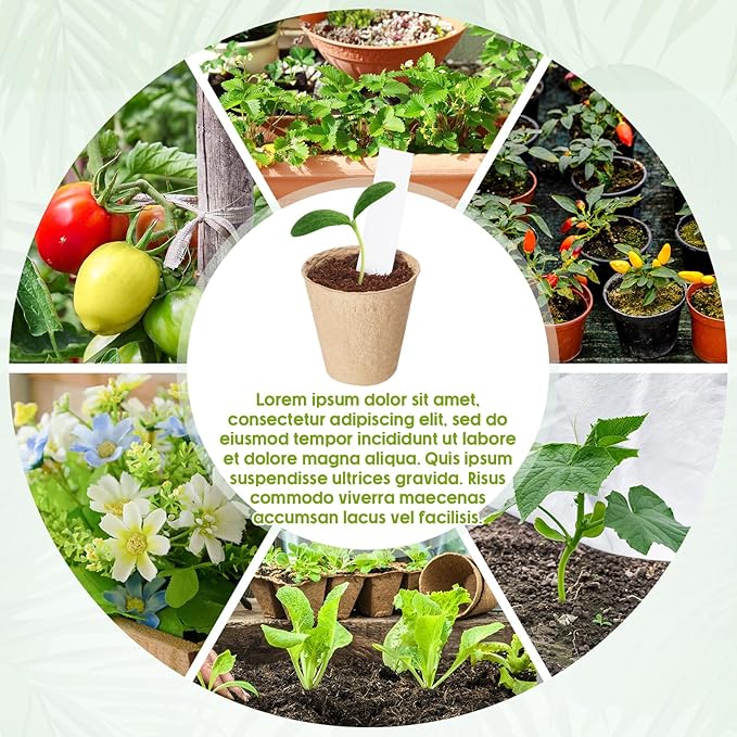 Layhit Seed Starter Plant Pots Kit, Compressed Coir Fiber Potting Soil, 2.36 Inch Nursery Pots, Small Seed Starting Starter Tray Bulk, Garden Germination Container Set with Planting Labels (1200 Pcs)