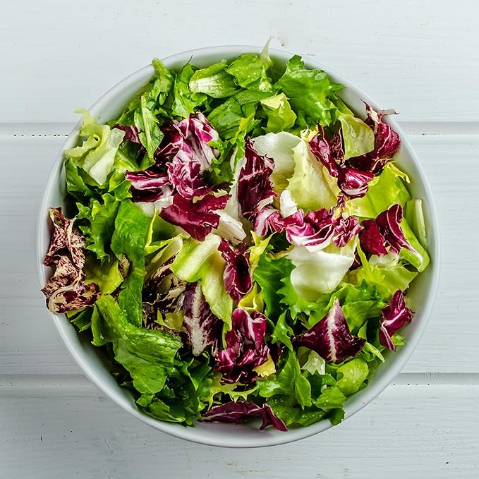 Back to The Roots 100% Organic Heirloom Seeds - Lettuce Value Pack (840mg Total)