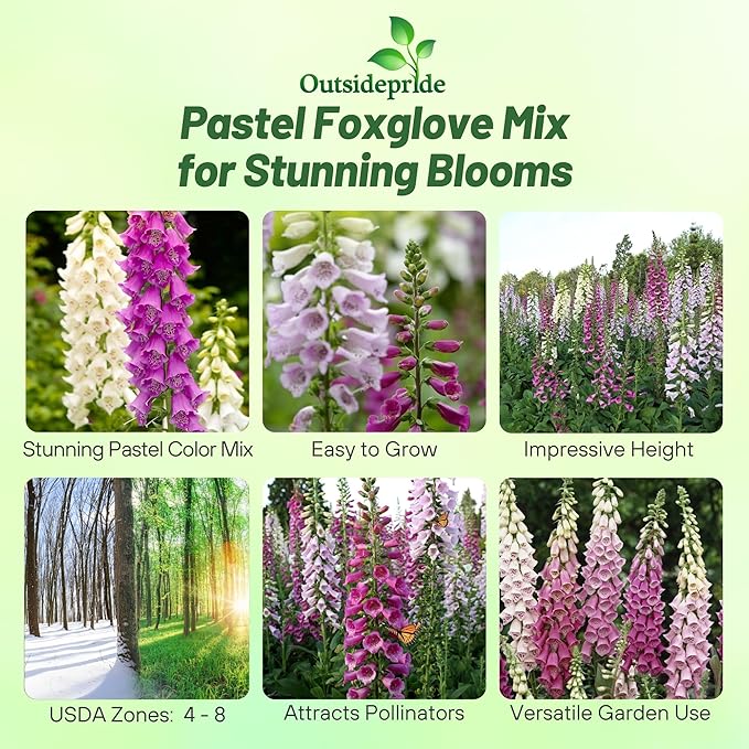 Outsidepride Digitalis Purpurea Gloxiniaeflora Mix Foxglove Seeds – 10000 Pcs Biennial, Prolific, Tall Growing Flower Seeds with Pollinator-Friendly Blooms for Shaded Gardens & Outdoor Landscapes