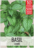 Seed Needs Lemon Basil Seeds for Planting - Non-GMO Heirloom & Untreated Culinary Herb Seed to Plant an Indoor or Outdoor Home Grown Kitchen Garden (10 Packs)