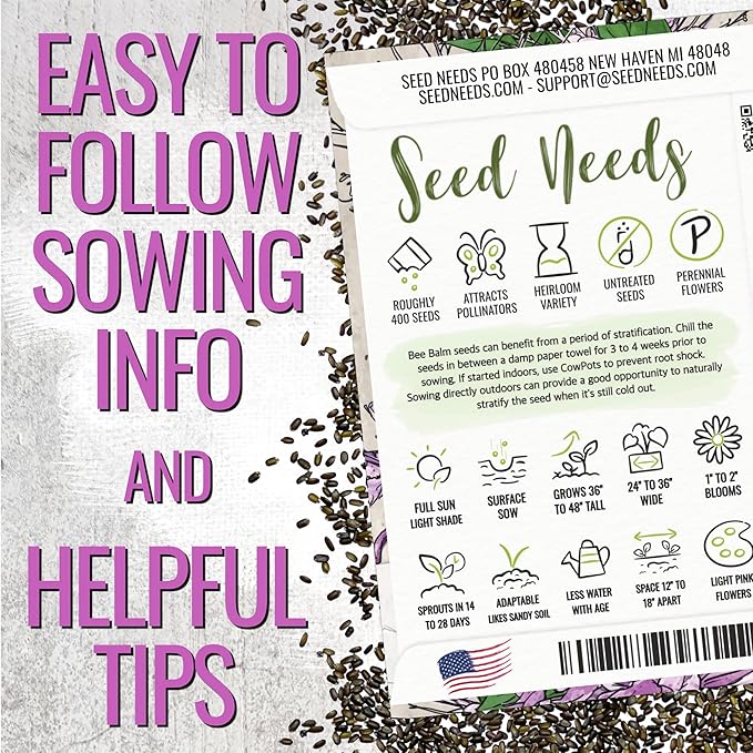 Seed Needs Bee Balm Seeds for Planting Wild Bergamot - Heirloom & Open Pollinated Perennial Flowers to Grow a Butterfly Garden to Attract Bees, Butterflies & Other Pollinators (2 Packs)