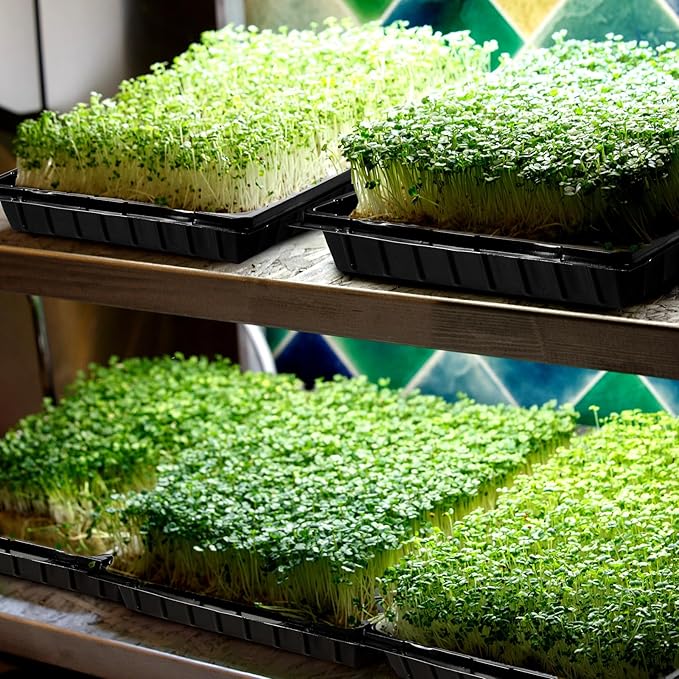 Yinder 20 Pcs Plant Seed Starting Trays, 1020 Trays No Holes and Cells Plug Trays with 100 Pcs Tags, Growing Trays for Nursery, Germination, Wheatgrass, Succulent, Microgreens and More (32 Cells)