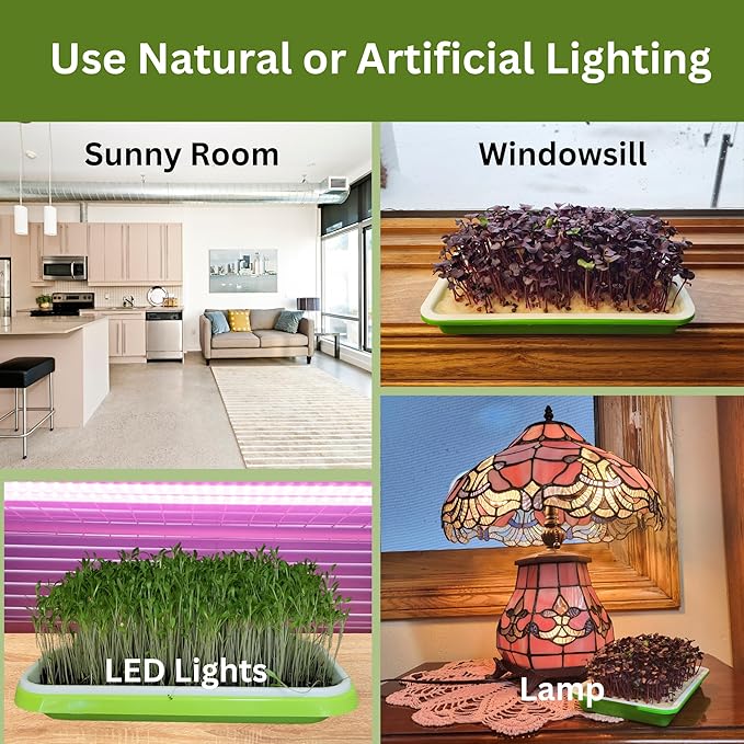 Home Microgreens Kit Refill - Coco Coir Growing Medium - Premeasured for 4 plantings; Includes Non-GMO Organic Broccoli and Radish Seeds for 4 Harvests - Detailed Instruction Sheet