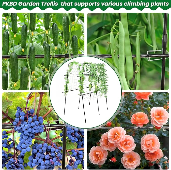 Tall Garden Arch Trellis for Climbing Plants Outdoor, 5 ft Tall Polyethylene-Coated Stainless Steel Garden Arch for Climbing Vine Vegetable/Fruit/Flower, Cucumber Trellis for Raised Bed, Black
