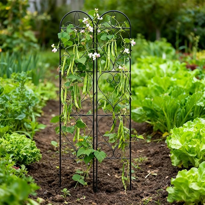 2PCS Metal Garden Trellis for Climbing Plants Outdoor, Heavy-Duty Cucumber Tomato Trellis for Raised Garden Bed, Decorative Wrought Iron Trellis Arch for Wedding Party Decor