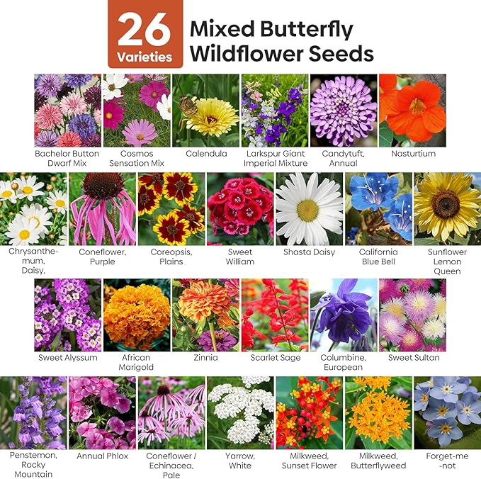 Wildflower Seeds Bulk, 1/4 lb, 100,000+ Seeds, 26 Variety Mix with Zinnia, Milkweek Seed, Attracts Pollinators, Plant in Spring or Fall, Zones 3, 4, 5, 6, 7, 8, 9, 10
