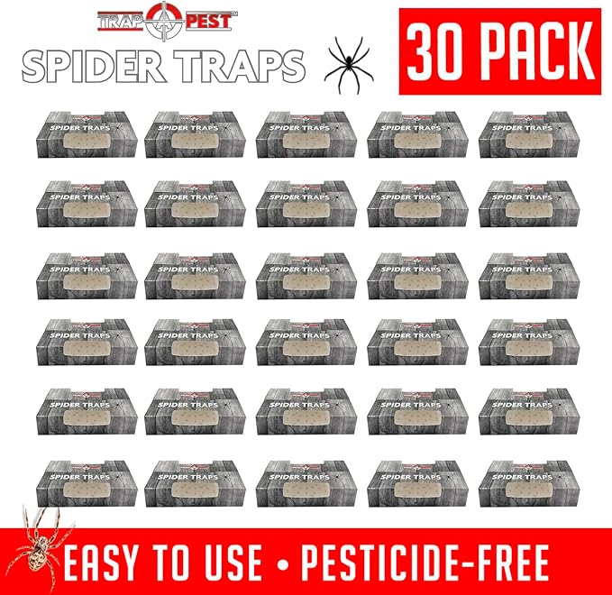 Spider Traps for Inside Your Home (30 Traps) - Spider Catcher Insect Traps Indoor - Spider Traps Indoor Bug Traps Sticky Traps for Spiders - Pre Baited Ultra Sticky Insect Glue Traps - Trap a Pest