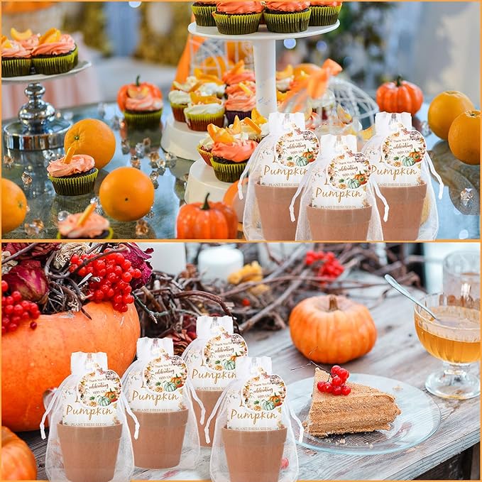 Ctosree 50 Sets Little Pumpkin Baby Shower Party Favors Thanksgiving Baby Shower Seed Packet for Guests Little Pumpkin is on The Way Gifts Self Adhesive Seed Packets Thanks Tag Organza Gift Bag