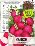 Seed Needs Radish Seeds for Planting German Giant Radishes - Non-GMO, Heirloom & Untreated - Grow a Home Grown Vegetable Garden - Cool Weather Crops (1 Pack)