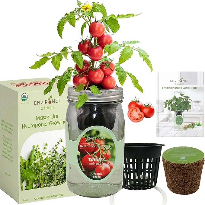 Hydroponic Tomato Growing Kit, Self-Watering Mason Jar Tomato Garden Starter Kit Indoor, Grow Tomatoes from Organic Seeds (Red Robin Tomato)