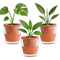 D'vine Dev 4 Inch Design Self Watering Pot for Indoor Plants, Terracotta Planter with Cylinder Glass Cup, Set of 3, 37-Z-A-1-T