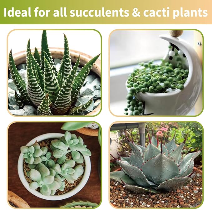 Succulent & Cactus Soil Potting Mix 1qt, Chunky Dirt with Fast Draining Fits for Bonsai, Terrarium and Houseplant