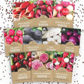 Organic Radish Seeds Variety Pack - 10 Individual Packs - 2026 Season - Pink Beauty, Purple Plum, French Breakfast, Misato Rose and More! for Indoor & Outdoor Planting (Non-GMO, Certified Organic)