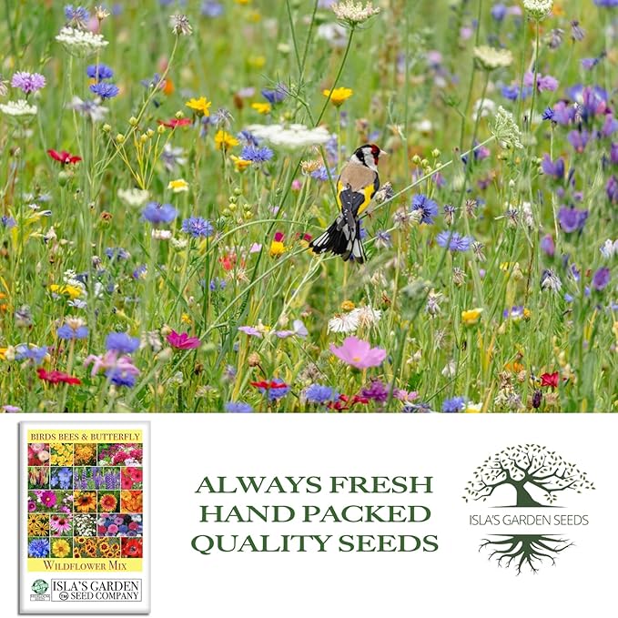 Birds, Bees & Butterflies Wildflower Mix Seeds – 500+ Non GMO Heirloom Seeds by Isla’s Garden Seeds, Colorful Pollinator Blooms for Garden Beds, Borders & Meadows, Perfect Home Gardening Gift Idea