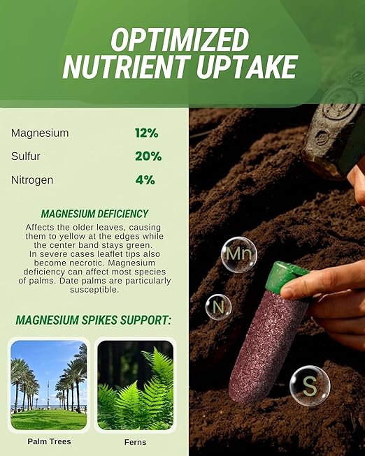 Magnesium Palm Tree Fertilizer Spikes, 125 Pack - Fertilizer Sticks & Plant Food Spikes for Palm Trees & Ferns - Contains 20% Sulfur, Magnesium, Nitrogen, and Essential Nutrients