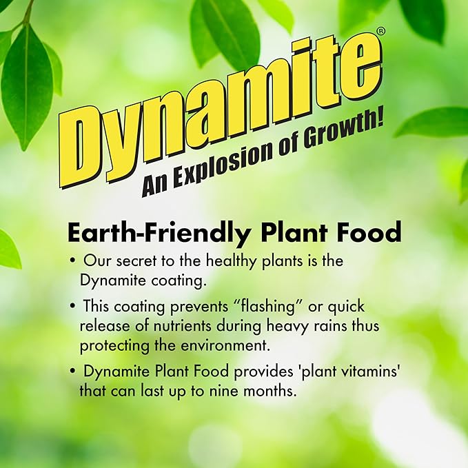 Dynamite 605951 All Purpose Indoor and Outdoor Plant Food, 1-Pound