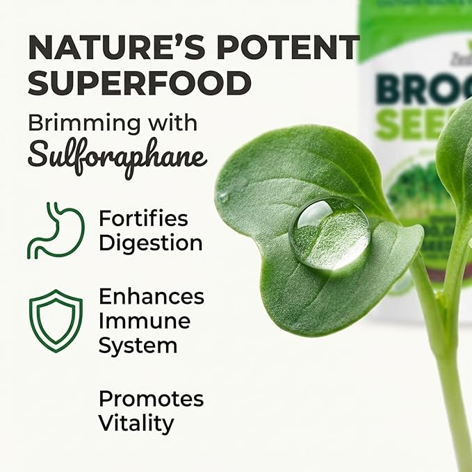 Broccoli Sprouting & Microgreens Seeds - 8oz. Organic, Non-GMO, Heirloom Sprout Seeds Come in Food Grade Colorful Container with Lid for Easier Scooping & Keeping Fresher