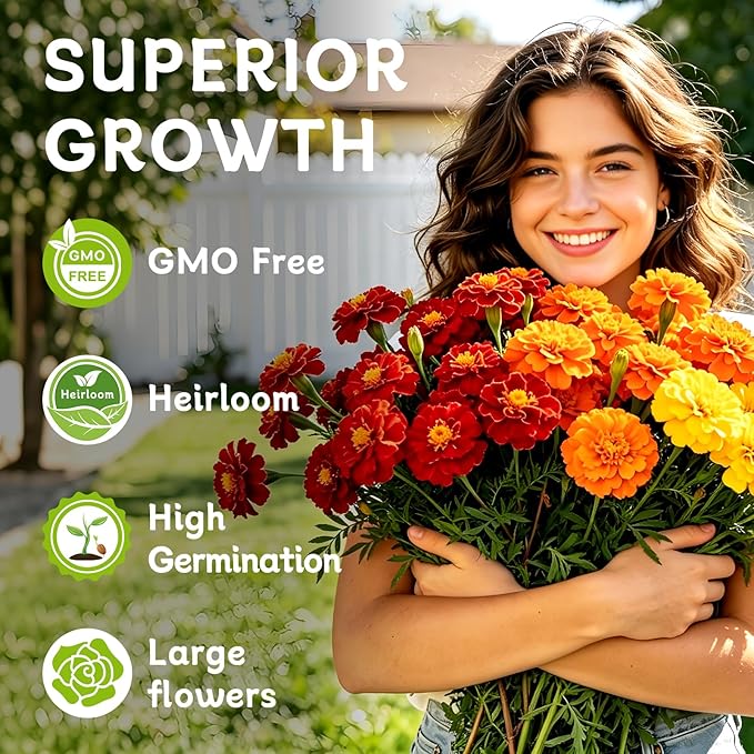 LUOJIBIE Marigold Seeds, 12,000+ Marigold Seeds for Planting Outdoor & Indoor, Flower Seeds Bulk for Gardening and Home, Non-GMO Heirloom, Easy to Grow