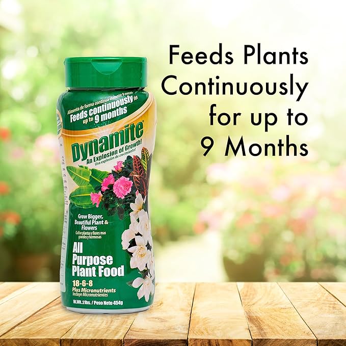 Dynamite 2 lb All Purpose 9 Month Plant Food
