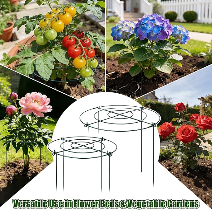 Peony Cages and Supports 8 Pack, 11.5 x 20 Inch Heavy Duty Plant Support Cage Set for Peonies, Roses & Tomatoes – Garden Stakes & Plant Cages for Outdoor Plants (8 Pack, 11.5 x 20 Inch)