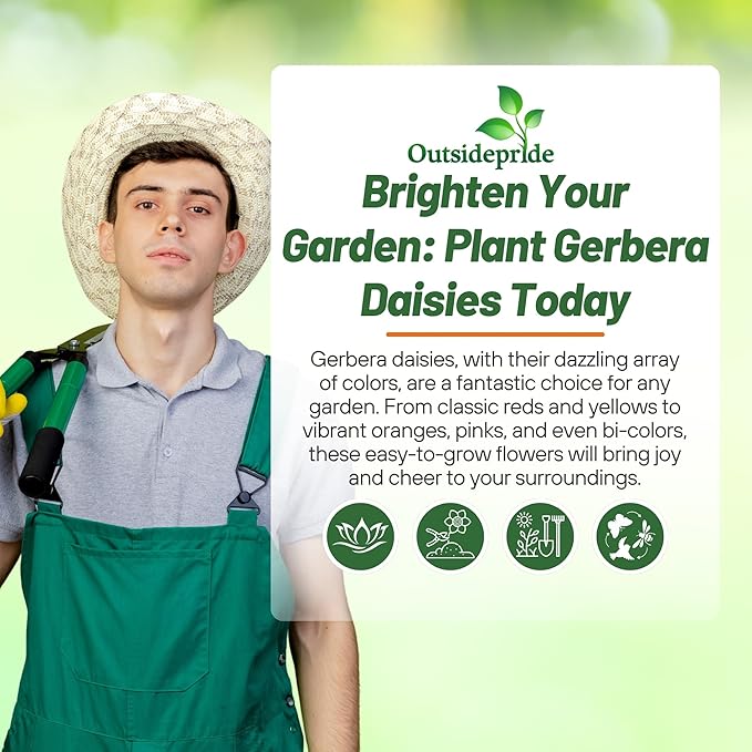 Outsidepride Revolution Select Mix Gerbera Seeds - 20 Pcs Perennial, Compact & Low Maintenance, Flower Seeds for Planting w/Vibrant Blooms, Ideal for Garden Landscaping & Cut Flower Arrangements