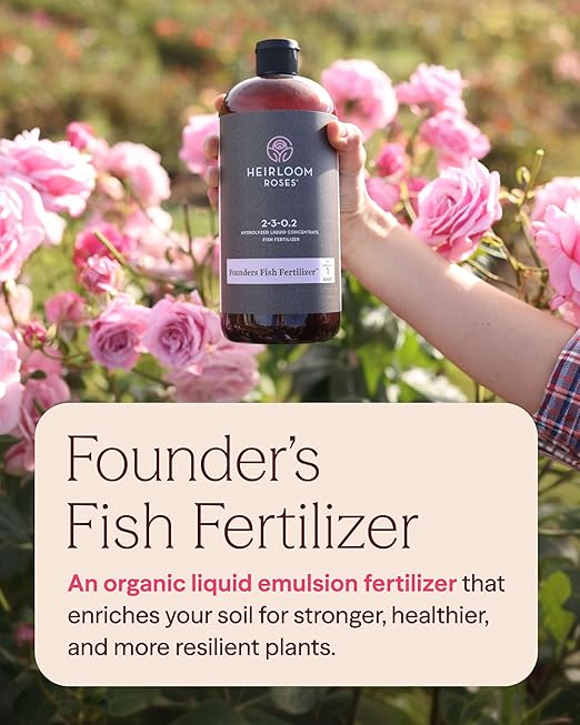 Heirloom Roses Founder’s Fish Fertilizer, Plant Food for Plants, Organic Liquid Emulsion Fertilizer, Garden Fertilizers for Rose Flower and Tomato Outdoor Gardening, 32 Fl Ounces, Pack of 3