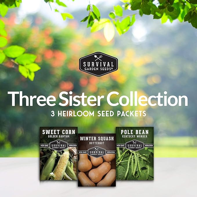 Three Sisters Collection Seed Vault - Non-GMO Heirloom Seeds for Planting Vegetables - Sweetcorn, Butternut Winter Squash & Pole Beans for Growing on Your Homestead - Survival Garden Seeds