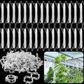 OJYUDD 130 Pcs Tomato Hooks with String,Tomato Holder Hooks with 32.8ft Twine & Plant Support Clips,Climbing Plants Support Hooks for Vegetable Plant Fruit Flower