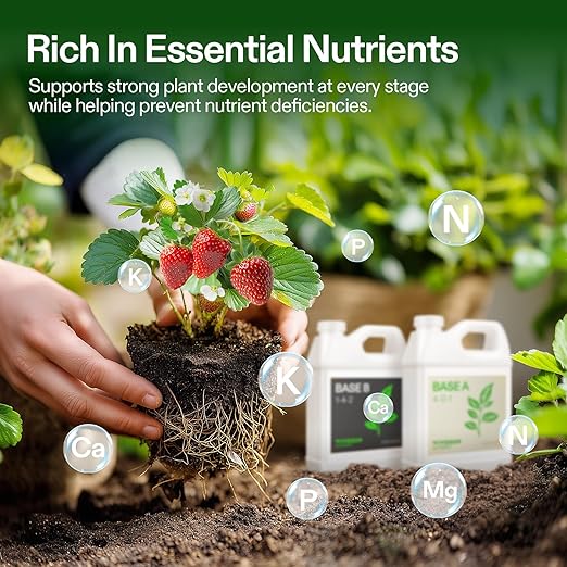 VIVOSUN Liquid Nutrients Base A & B Bundle, Grow Big Hydroponic Fertilizer, Supports Vegetative and Flowering Stages for Outdoor, Indoor Plants, Best Plant Food, Set of Quarts (Pack of 2)