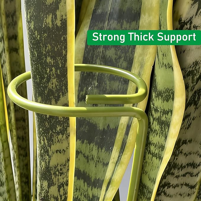 12-Pack Plant Stakes for Indoor Plants, 16 Inch Heavy Duty Adjustable Support Stakes & Tall Sticks for Monstera, Amaryllis, Orchid, Snake Plant, Single Stem, Indoor Outdoor