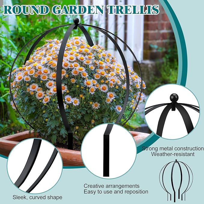 2 PCS Metal Garden Round Trellis for Climbing Plants, Large Black Powder Coated Obelisk for Roses, Vines, Flowers, Patio Doorway Garden Decor Indoor Outdoor, Easy Assembly (25.2" x 21.3")