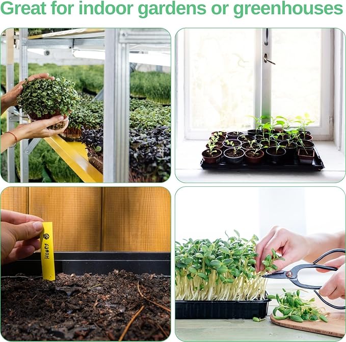 Plant Growing Trays for Seedlings Microgreen Seed Starter Shallow Plants Tray Drip Tray Standard 1010 Tray no Holes 5 Pack Black 10.7 x 10.7 inches Square Trays