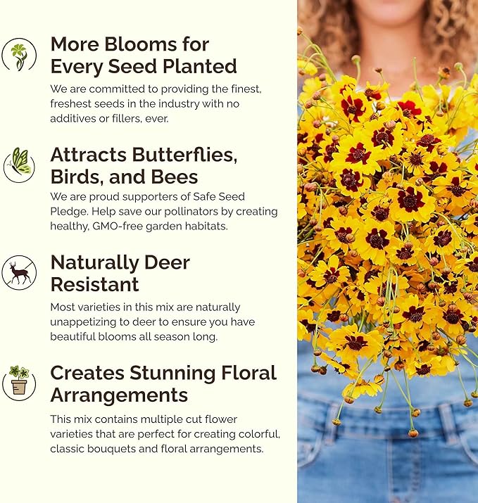 Eden Brothers North American Native Wildflower Mixed Seeds for Planting, 1/4 lb, 120,000+ Seeds with Birds Eyes, Lupine | Attracts Pollinators, Plant in Spring or Fall, Zones 3, 4, 5, 6, 7, 8, 9, 10