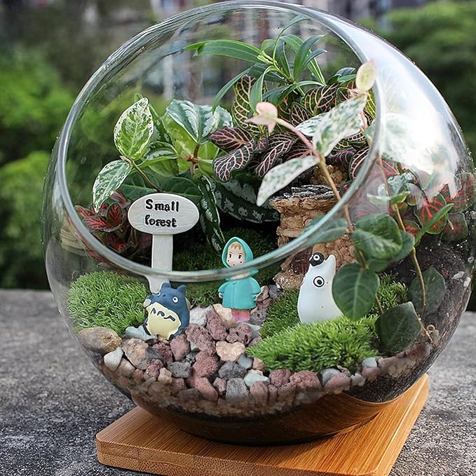 12lbs Mix Horticultural Lava Rocks for Plants, 3/8 Inch Potting Soil Amendment for Succulents, Cacti, Bonsai, Decorative Gravel Plant Drainage Volcanic for Terrarium, Top Dressing