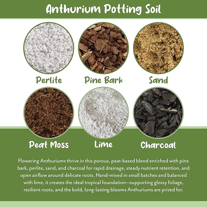 Soil Sunrise Anthurium Plant Potting Soil Mix (4 Quarts) Indoor Houseplant Custom Blend for Flowering Anthuriums