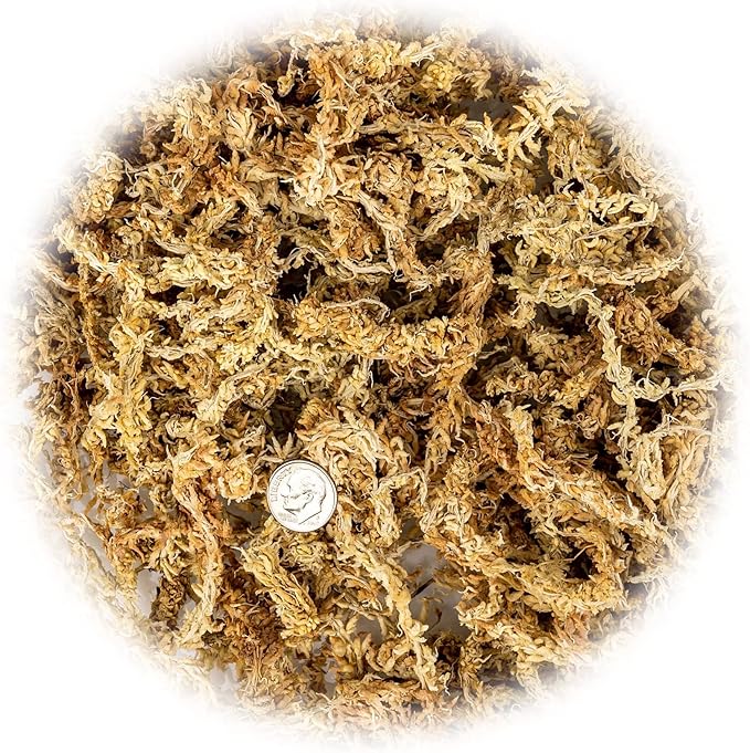 Premium New Zealand Sphagnum Moss by Gardenera - 10 Quart - Organic Hand Mixed Long Fibered Sphagnum Moss Orchid (2 Bags of 5 Quart)