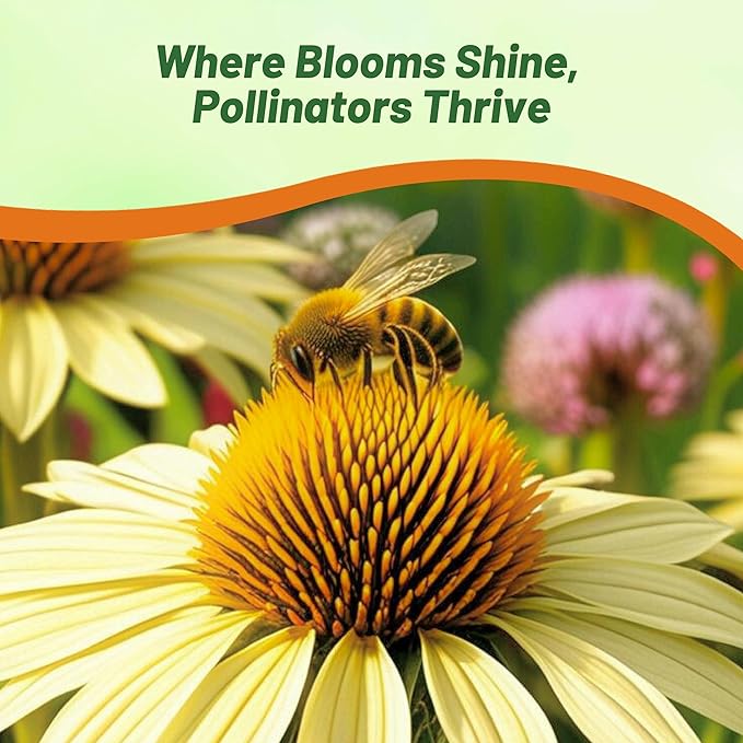 Outsidepride Mellow Yellows Echinacea Coneflower Seeds - 25 Pcs Perennial, Deer-Proof & Drought Tolerant Flower Seeds with Daisy-Like Blooms for Pollinator-Friendly Gardens, Borders, & Meadows