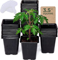 CARPATHEN 60Pack Square Nursery Pots - 3.5 Inch Seedling Plant Pot with Drainage Holes - Reusable Seed Starter Pots for Flowers, Vegetables, Greens - Includes 10 Plastic Reusable Tags