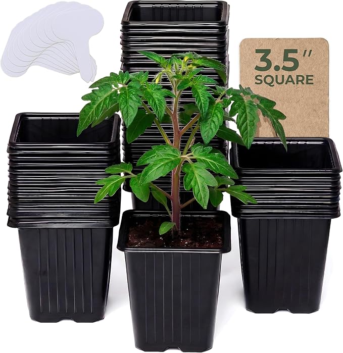 CARPATHEN 60Pack Square Nursery Pots - 3.5 Inch Seedling Plant Pot with Drainage Holes - Reusable Seed Starter Pots for Flowers, Vegetables, Greens - Includes 10 Plastic Reusable Tags