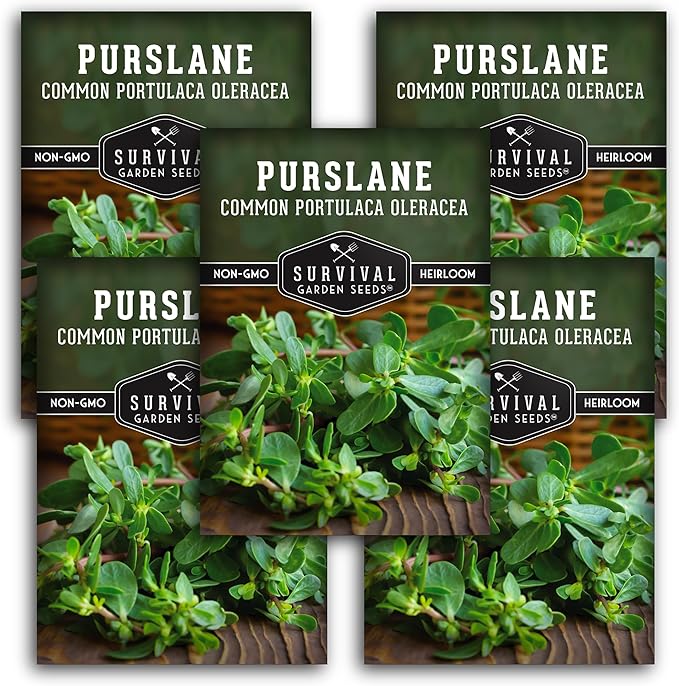Purslane Seeds for Planting - Edible Green Portulaca Oleracea Verdolagas Heirloom Non-GMO Vegetable Seed for Home Garden - Survival Garden Seeds (5 Packs)