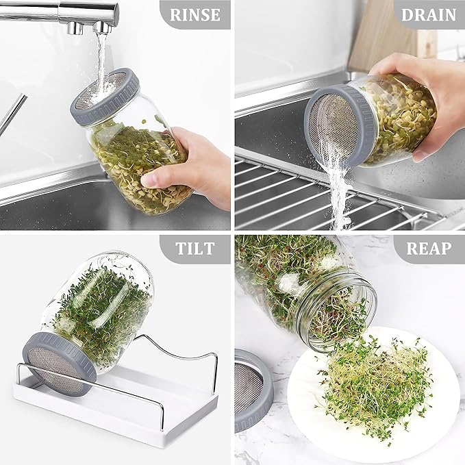 Organic Seed Sprouting Jar Kit – 2 × 32 oz Wide-Mouth Mason Jars with Stainless-Steel Sprouter Lids & Stand, Blackout Sleeves, Drain Tray – Grow Broccoli, Alfalfa & Bean Microgreens