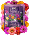 Zinnia Seeds for Outdoor Planting – ~3,000 Lilliput Semi-Dwarf Zinnia Seeds – 1–2" Dwarf Pompom-Style Blooms – Zinnia elegans Pollinator-Friendly Annual Flower Mix